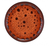 Sabrosa Sol Plate 19.5cm